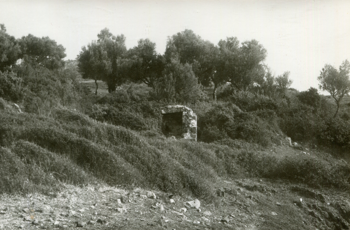 Αρχαία Τορώνη Χαλκιδικής